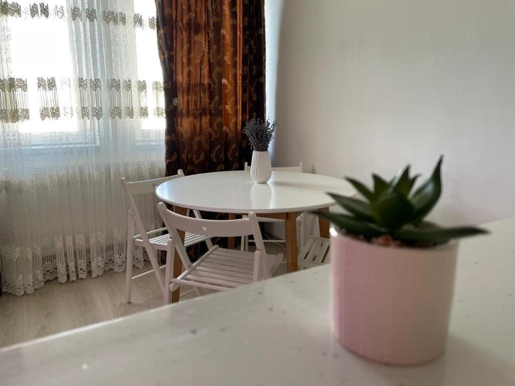 Apartament Ella Tulcea Extérieur photo
